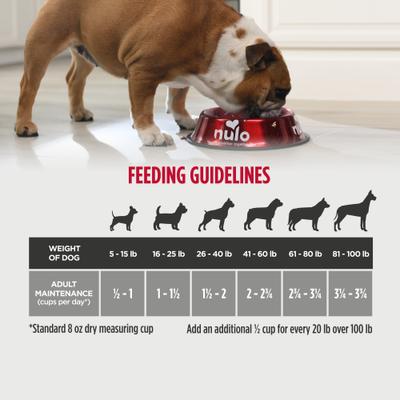 Nulo, FreeStyle Senior Trout & Sweet Potato, Trucha + Camote sin Granos con Glucosamina + Condroitina + L-Carnitina, Perros Senior, 2.72 / 4.99 / 11.79 kg