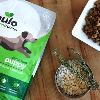 Nulo, Frontrunner Puppy Ancient Grains Chicken, Oats & Turkey, Pollo + Avena + Pavo con DHA y Probióticos, Cachorros, 2.27 / 4.99 / 11.34 kg