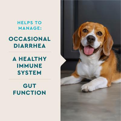 VetIQ, Probiotic Powder, Enterococcus faecium, sabor Hígado de Pollo, 30 sobres.
