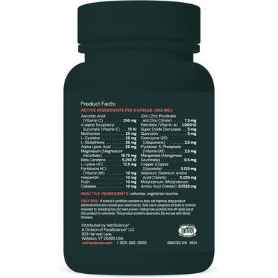 Immune Plus - Refuerzo inmunológico para perros, 120 comprimidos