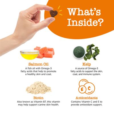 Skin & Coat Bites con Aceite de Salmón para Piel y Pelaje de Perros 2 presentaciones