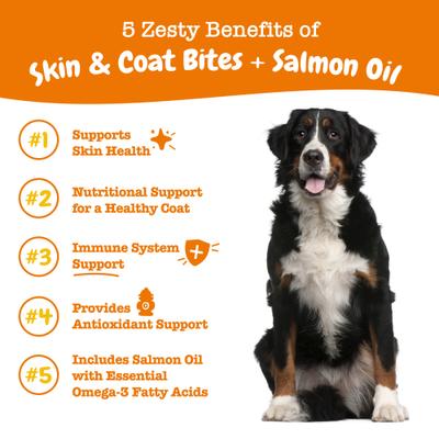 Skin & Coat Bites con Aceite de Salmón para Piel y Pelaje de Perros 2 presentaciones