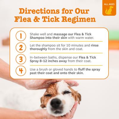 Shampoo Itch Soother con Avena y Aloe para Perro 454 ml
