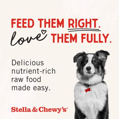 Stella & Chewy's, Raw Coated Kibble Grain-Free para perros, varios sabores, 1.59 / 4.54 / 9.98 kg