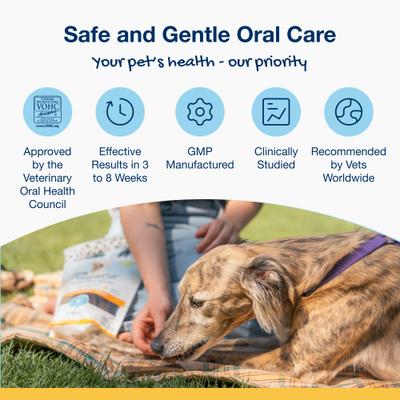 ProDen, PlaqueOff Mini Dental Care Bones, A.N ProDen + Probiotics + Omega-3 + Omega-6, varios sabores, 20 unidades.
