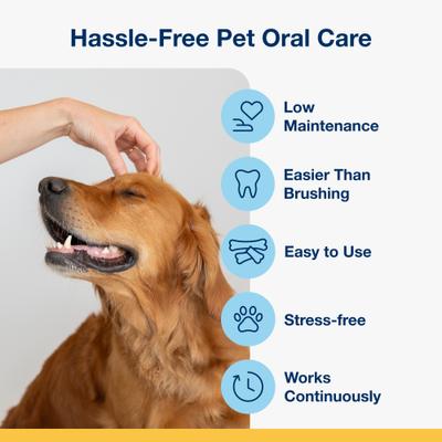 ProDen, PlaqueOff Mini Dental Care Bones, A.N ProDen + Probiotics + Omega-3 + Omega-6, varios sabores, 20 unidades.
