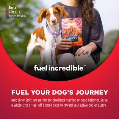Nulo, Premium Jerky Strips, premios sin granos con probiótico BC30 para perros, varios sabores, 142 g