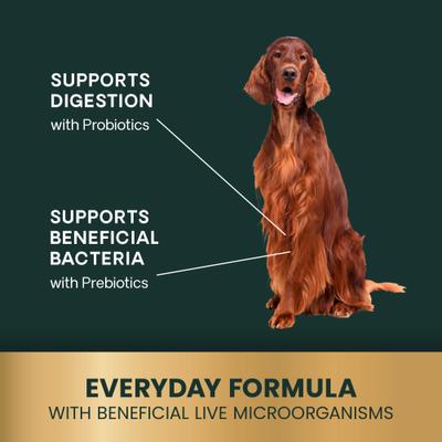 Probiótico para perros: masticables con sabor a pato para la salud intestinal diaria (120 unidades)