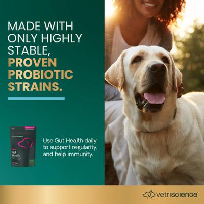 Probiótico para perros: masticables con sabor a pato para la salud intestinal diaria (120 unidades)