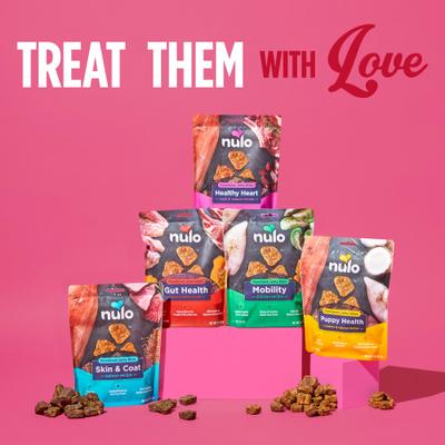 Nulo, Functional Jerky Bites Puppy Health, Pollo + Salmón con DHA + EPA + Probiótico BC30, Cachorros, 142 g