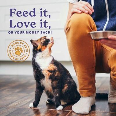 The Missing Link, Feline Wellbeing Supplement, superalimentos + omegas + probióticos, 170 g.