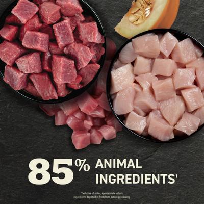 ACANA, Premium Paté en caldo de huesos, alimento húmedo para gatos adultos, varios sabores, 85 g × 24 / 155 g × 12 latas