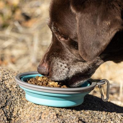 Nulo, Raw Medley Puppy Salmon, Oats & Turkey, Salmón + Avena + Pavo con Piezas Liofilizadas y DHA, Cachorros, 4.54 kg