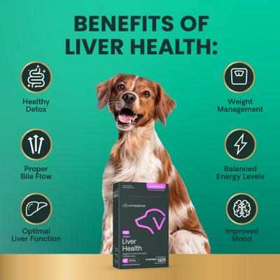 VETRI SAMe 225 S-adenosil-metionina, suplemento desintoxicante para el hígado, para perros de razas medianas y grandes, 30 comprimidos