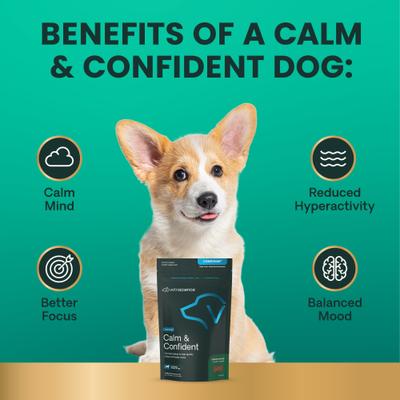 Composure - Masticables blandos con sabor a hígado de pollo, suplemento calmante y para la ansiedad para perros pequeños, 30 unidades
