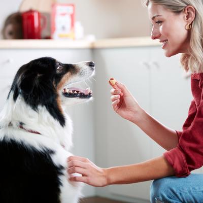 Premios para perros MaroSnacks con sabor a tocino, envase de 40 oz