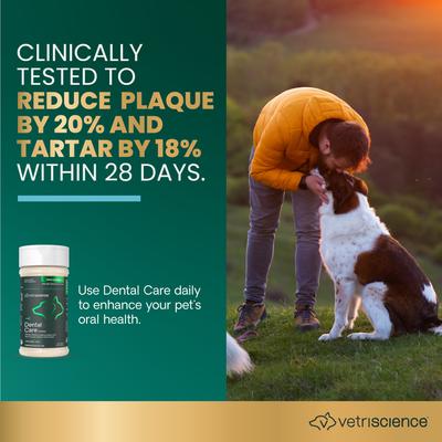 Polvo para el cuidado dental Perio. Suplemento clínicamente probado para el control del aliento y la placa en perros y gatos. Botella de 113 g.
