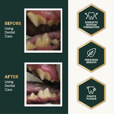 Polvo para el cuidado dental Perio. Suplemento clínicamente probado para el control del aliento y la placa en perros y gatos. Botella de 113 g.