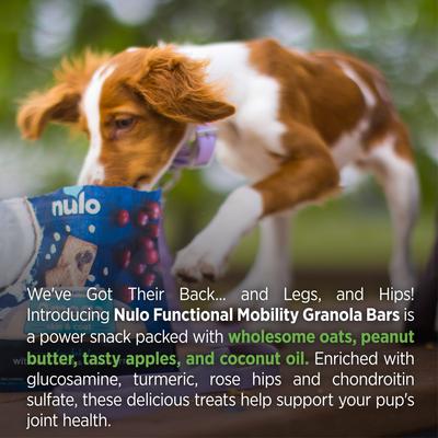 Nulo, Functional Granola Bars, premios funcionales para perros, varios sabores, 283 g