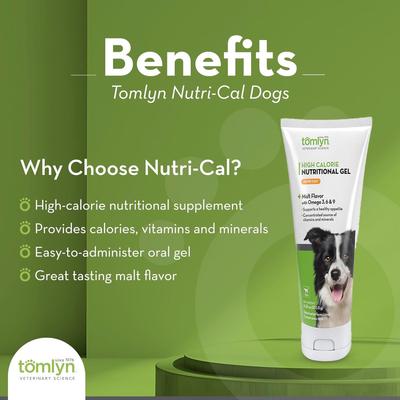 Tomlyn, Nutri-Cal Gel Hipercalórico para Perros, Vitaminas + Minerales + Omegas 3, 6 y 9, sabor Malta, Adulto / Cachorro, 120 g.