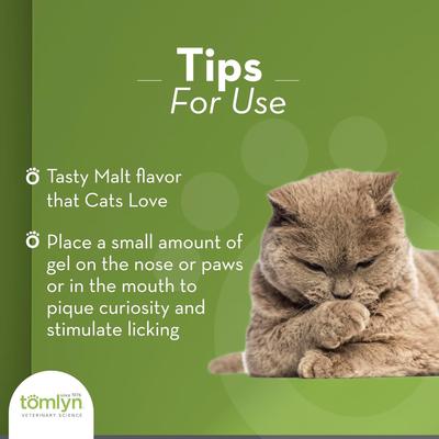 Tomlyn, Nutri-Cal Gel, Suplemento Hipercalórico para Gatos, Carbohidratos + Vitaminas + Minerales + Ácidos Grasos Esenciales, sabor Malta, 120 g.