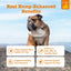 Aceite Omega Salmon Oil Hemp Elements para Piel y Pelaje de Perros y Gatos 2 presentaciones