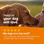 Aceite Omega Salmon Oil Hemp Elements para Piel y Pelaje de Perros y Gatos 2 presentaciones