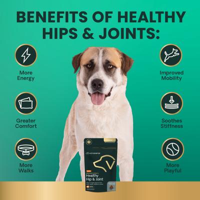 Masticables Veterinary Strength para la salud de las caderas y articulaciones con sabor a pollo para perros grandes, 60 unidades