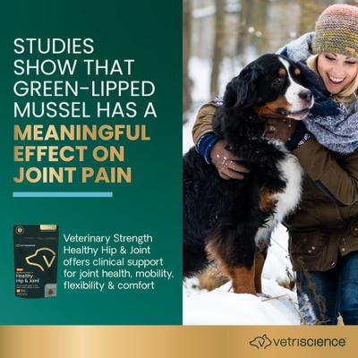 Masticables Veterinary Strength para la salud de las caderas y articulaciones con sabor a pollo para perros grandes, 60 unidades