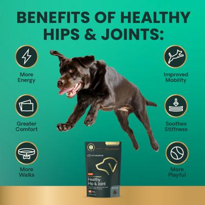 Suplemento masticable Veterinary Strength para la salud de las caderas y articulaciones con sabor a pollo para perros pequeños y medianos, 60 unidades