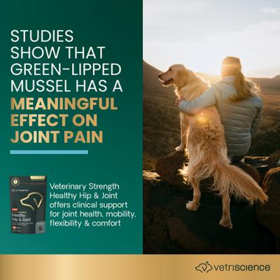 Suplemento masticable Veterinary Strength para la salud de las caderas y articulaciones con sabor a pollo para perros pequeños y medianos, 60 unidades