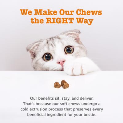 Allergy & Immune Bites con Lisina para Gatos sabor Tocino 60 chews