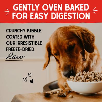 Stella & Chewy's, Raw Coated Kibble Grain-Free para perros, varios sabores, 1.59 / 4.54 / 9.98 kg