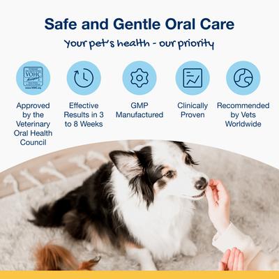 ProDen, PlaqueOff Crunchy Dental Bites for Dogs, A.N ProDen, sabor Vegetal, 85 g.