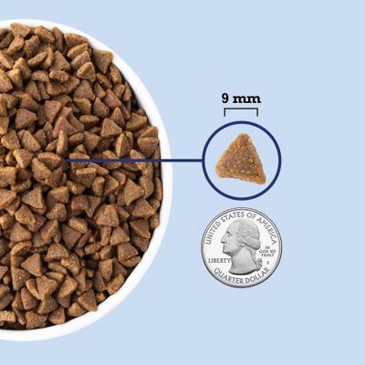 ACANA, Indoor Entrée, alimento seco para gatos de interior, varios sabores, 1.81 / 4.54 kg