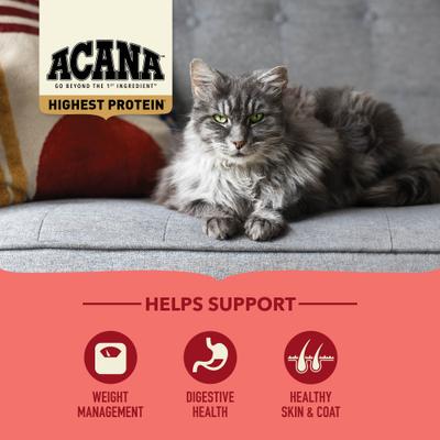ACANA, Highest Protein Indoor Cat, pollo + trucha + salmón, alimento seco para gatos de interior, 1.81 / 4.54 kg