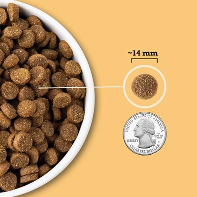ACANA, Wholesome Grains, alimento seco con cereales para perros, varios sabores, 1.81 / 10.21 / 14.51 kg