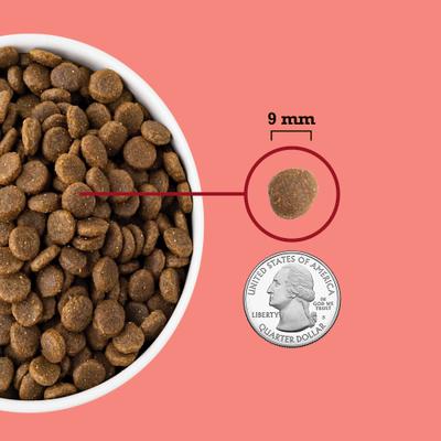 ACANA, Highest Protein Indoor Cat, pollo + trucha + salmón, alimento seco para gatos de interior, 1.81 / 4.54 kg