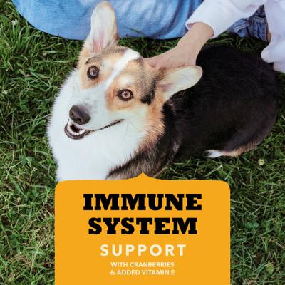 ACANA, Chewy Strips, premios funcionales para perros, varios sabores, 113 g