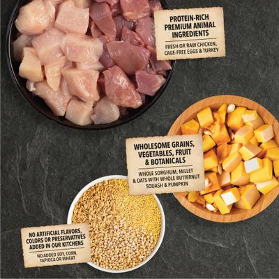 ACANA, Wholesome Grains Small Breed, pollo + pavo + huevos, 1.81 / 5.22 kg