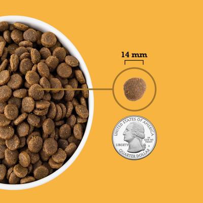 ACANA, Recipes sin cereales, alimento seco para perros, varios sabores, 2.04 / 5.9 / 11.34 / 14.51 kg