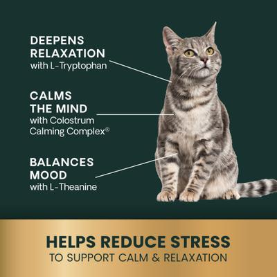 Suplemento calmante líquido Veterinary Strength Calm & Confident Composure Pro para perros y gatos, botella de 8 onzas líquidas