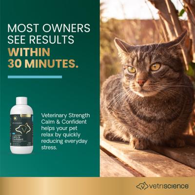 Suplemento calmante líquido Veterinary Strength Calm & Confident Composure Pro para perros y gatos, botella de 8 onzas líquidas