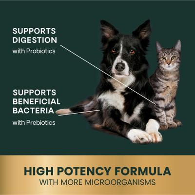 Entero Flora Pro Powder, suplemento digestivo para perros y gatos, frasco de 60 g, para la salud intestinal de Veterinary Strength