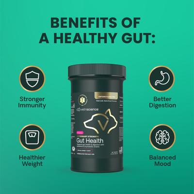 Entero Flora Pro Powder, suplemento digestivo para perros y gatos, frasco de 60 g, para la salud intestinal de Veterinary Strength