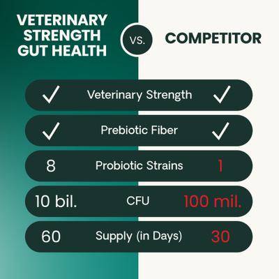 Entero Flora Pro Powder, suplemento digestivo para perros y gatos, frasco de 60 g, para la salud intestinal de Veterinary Strength