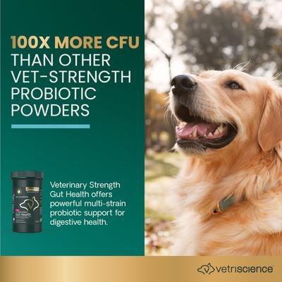 Entero Flora Pro Powder, suplemento digestivo para perros y gatos, frasco de 60 g, para la salud intestinal de Veterinary Strength