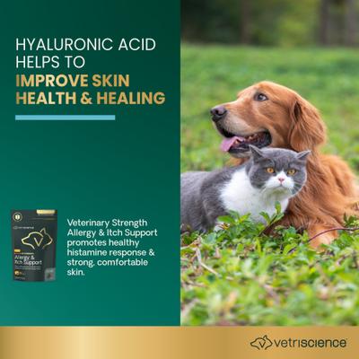 Derma Strength Pro - Suplemento masticable suave con sabor a pato para perros y gatos, 90 unidades