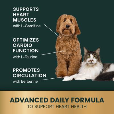 Suplemento masticable suave para el corazón con sabor a pollo Veterinary Strength Healthy Heart Cardio Pro para perros y gatos, 60 unidades