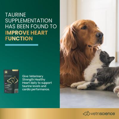 Suplemento masticable suave para el corazón con sabor a pollo Veterinary Strength Healthy Heart Cardio Pro para perros y gatos, 60 unidades